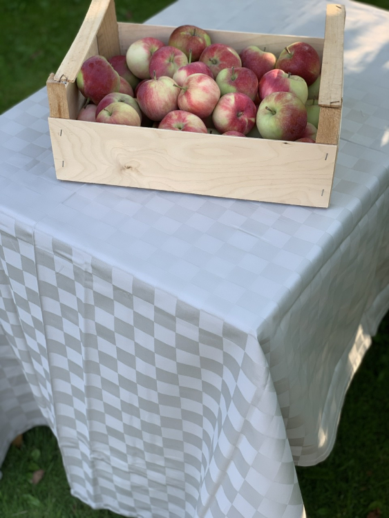 Скатерть с салфетками Vallesusa DAMIER 160х225х8