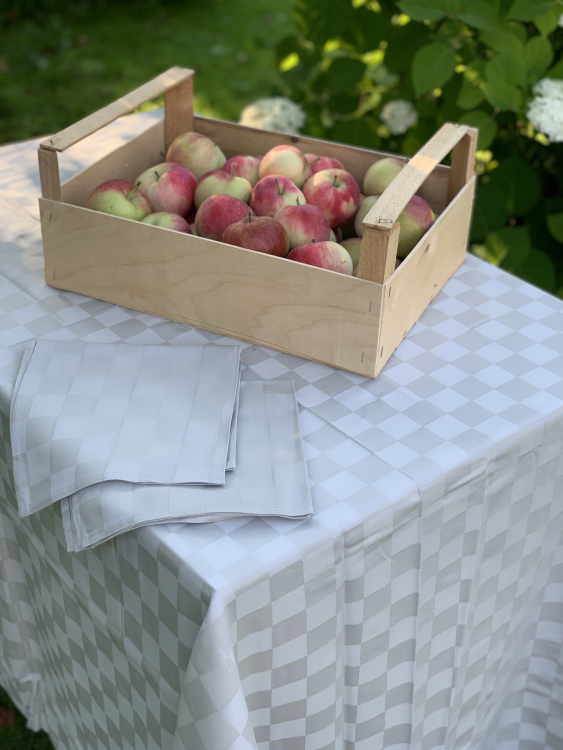 Скатерть с салфетками Vallesusa DAMIER 160х225х8