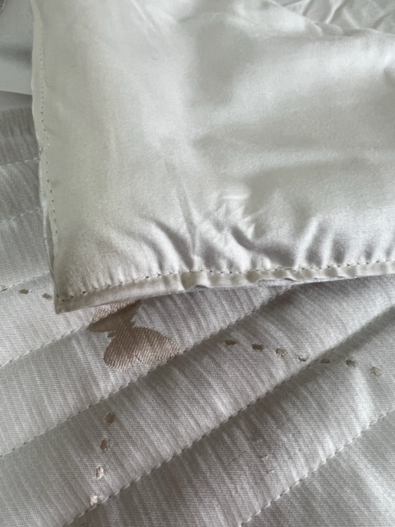 Покрывало Blumarine LIVIA 270х270 cera