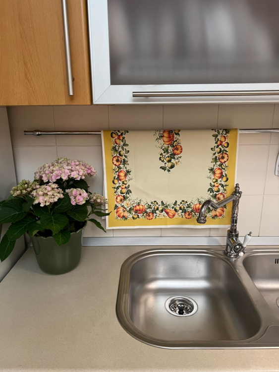 Кухонное полотенце Gruppo Bataglia GELSOMINO