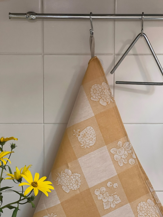 Кухонное полотенце Helen DELHI 60х90