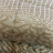 Покрывало Roberto Cavalli WILD SUNRISE 270х260