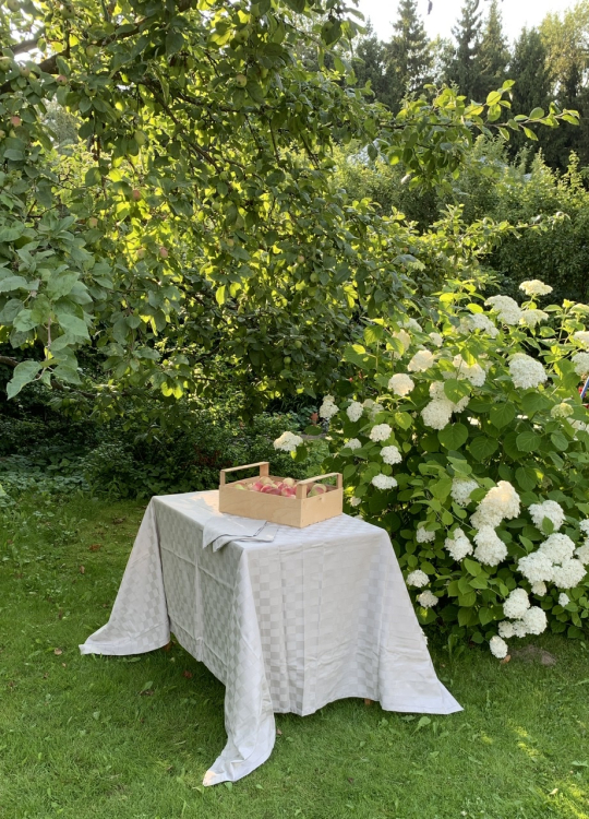 Скатерть с салфетками Vallesusa DAMIER 160х225х8