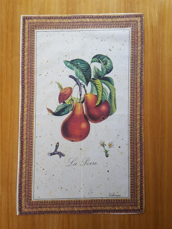Кухонное полотенце Vallesusa JARDIN FRUITS (039)